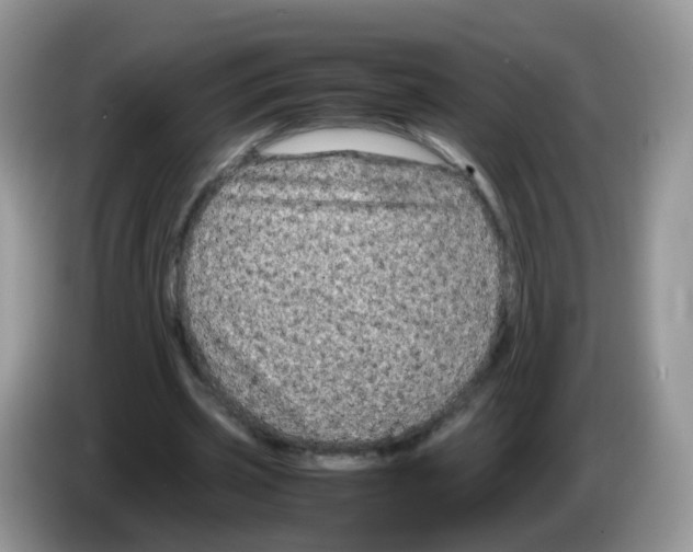 X0000086260533200704261957