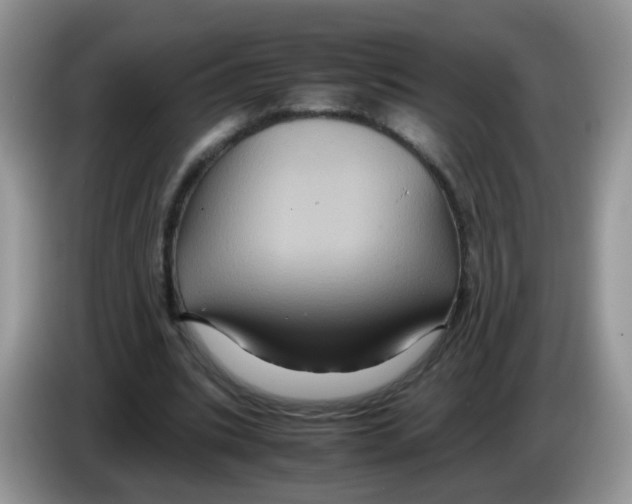 X0000086260535200704261958