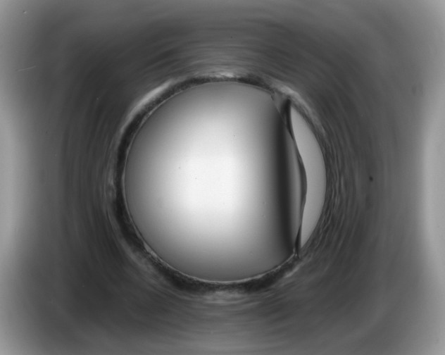 X0000086260536200704261958