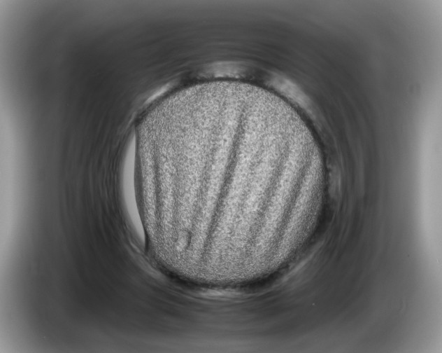 X0000086260537200704261958