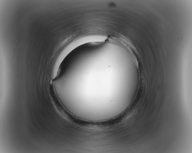 X0000086260538200704261958