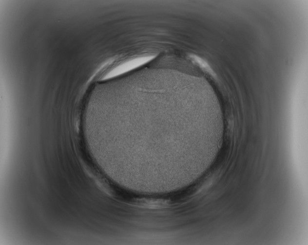 X0000086260539200704261958