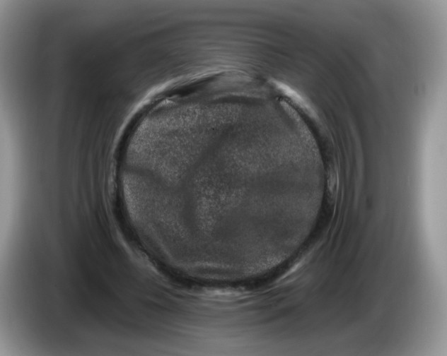 X0000086260540200704261958