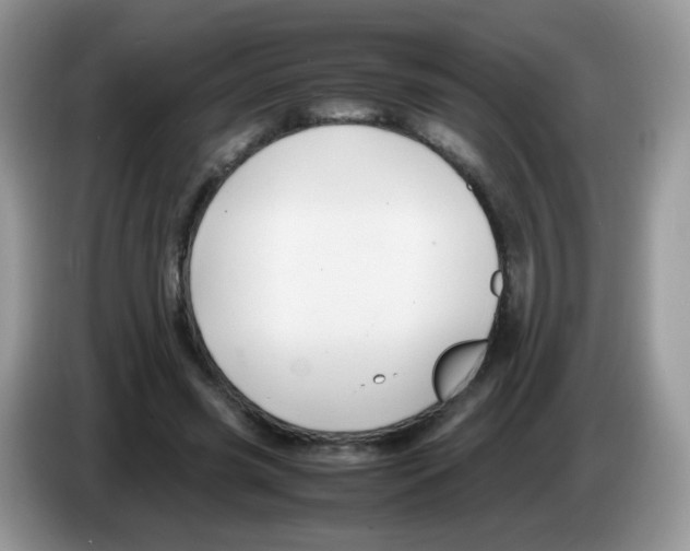X0000086260541200704261958
