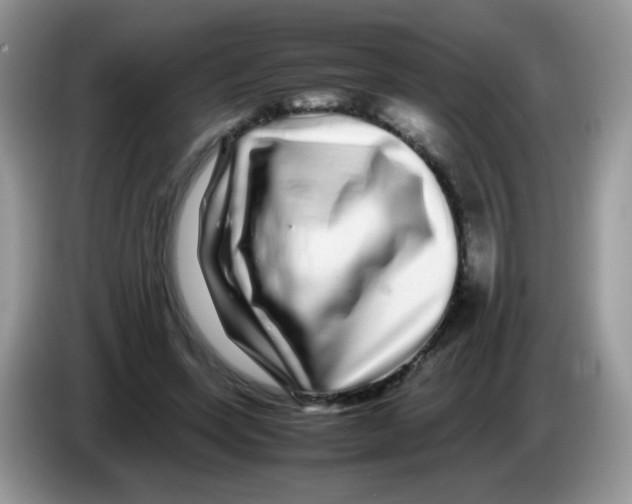 X0000086260543200704261958