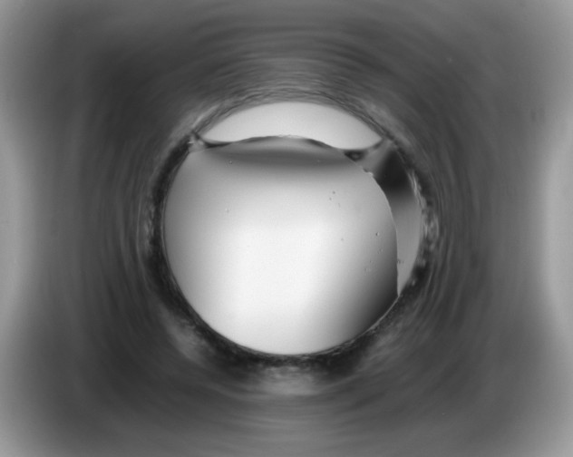 X0000086260544200704261958