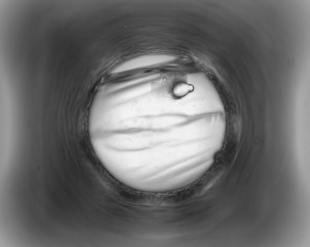 X0000086260545200704261958
