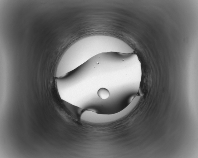 X0000086260546200704261958