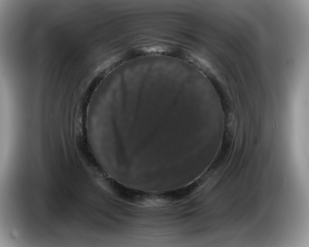 X0000086260547200704261958