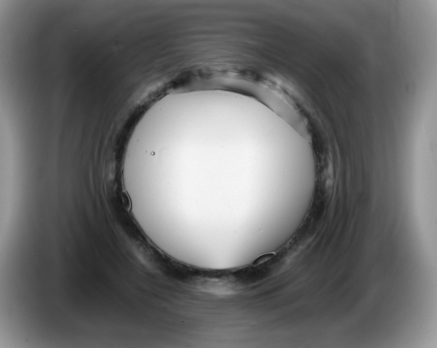 X0000086260548200704261958