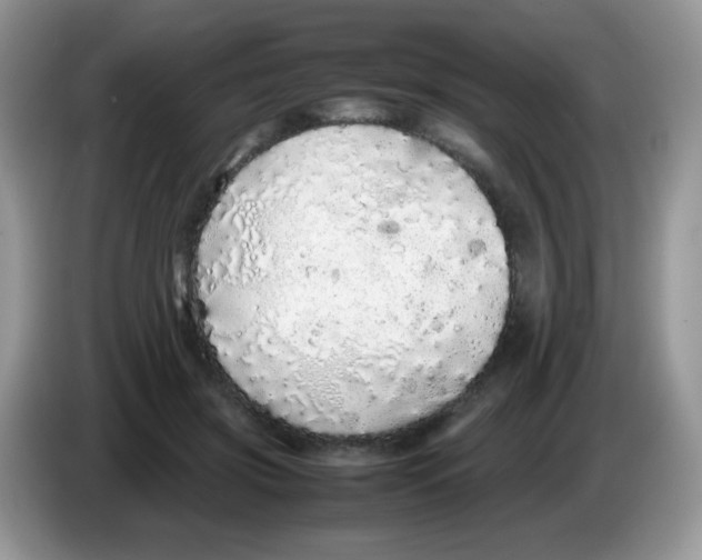 X0000086260549200704261958