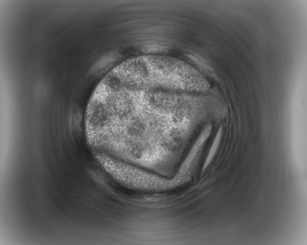X0000086260550200704261958