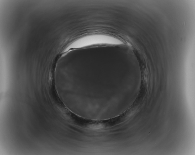 X0000086260551200704261958
