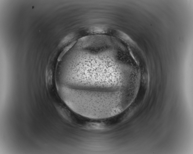 X0000086260552200704261958