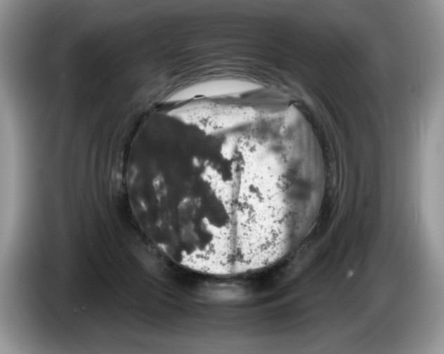 X0000086260553200704261958