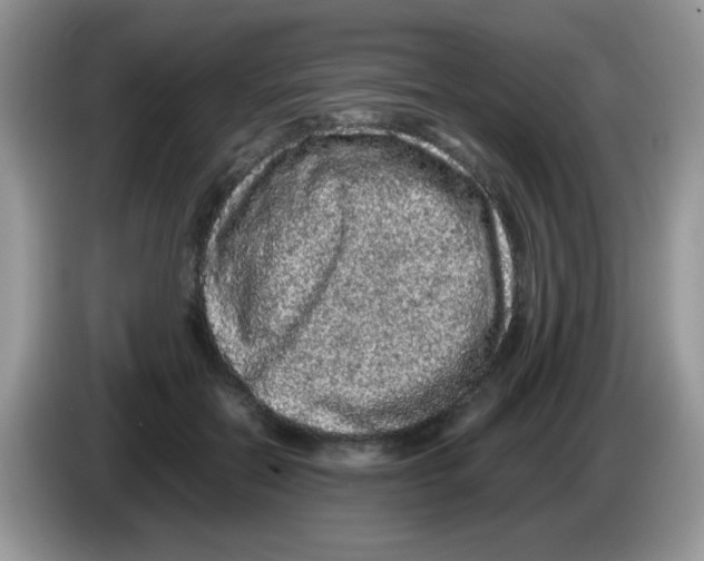 X0000086260554200704261958
