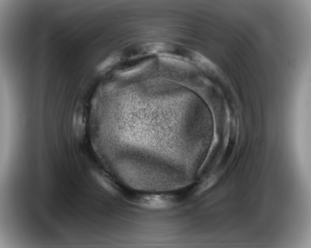 X0000086260558200704261958