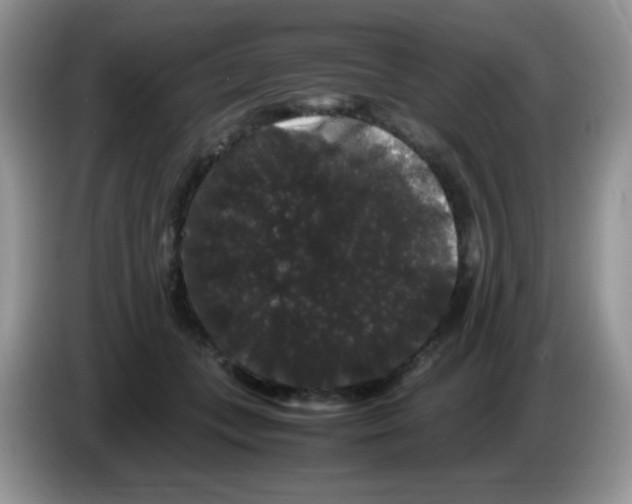 X0000086260559200704261958