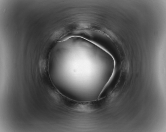 X0000086260560200704261958
