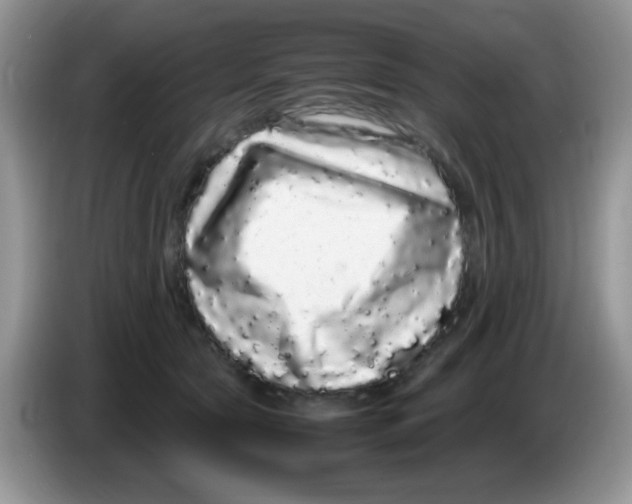 X0000086260561200704261958