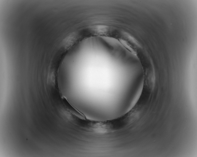 X0000086260562200704261958