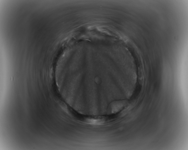 X0000086260563200704261958