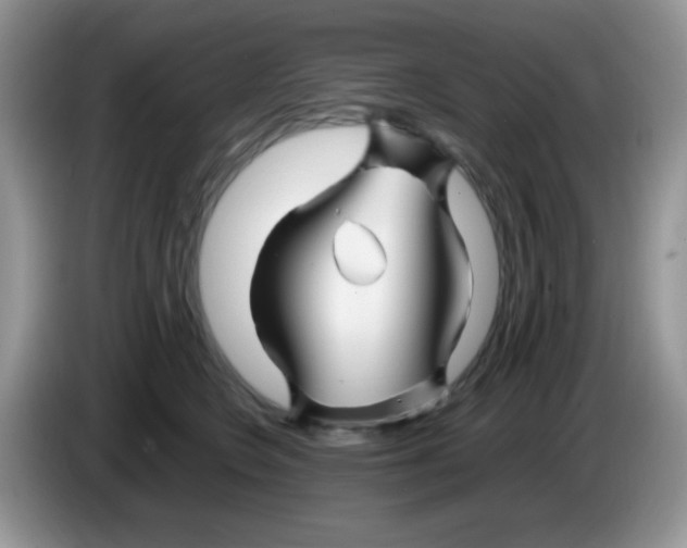 X0000086260566200704261958