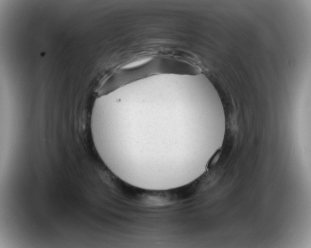 X0000086260567200704261958