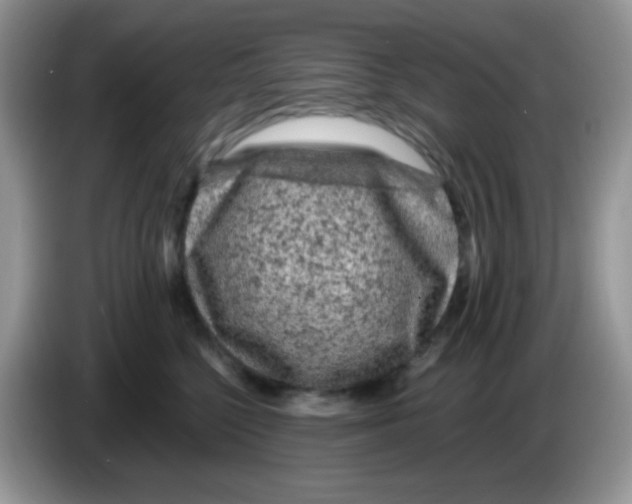X0000086260568200704261958