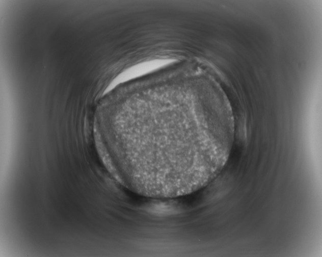 X0000086260569200704261958