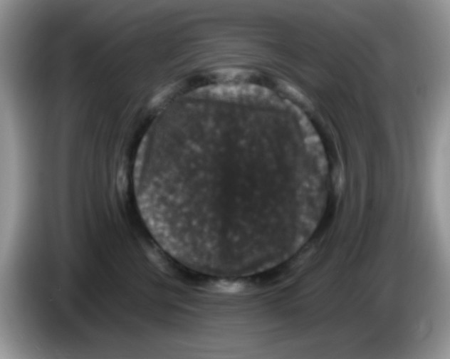 X0000086260570200704261958