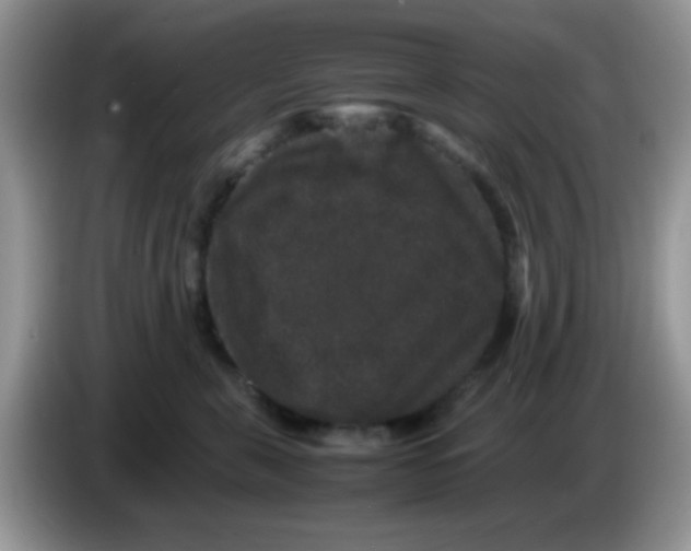 X0000086260571200704261958