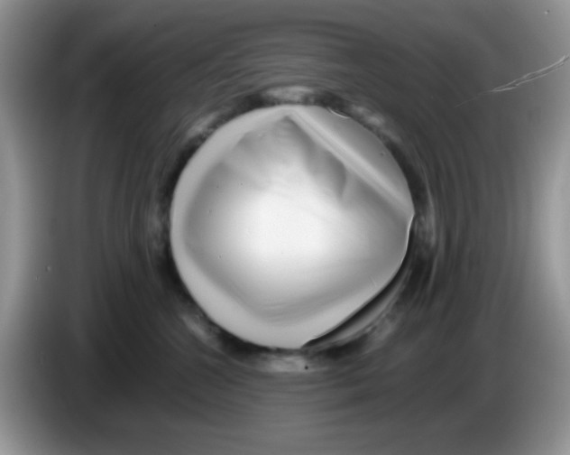 X0000086260572200704261958