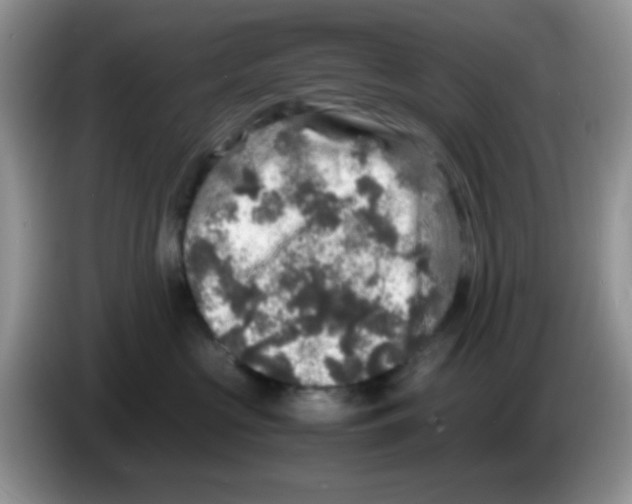 X0000086260573200704261958