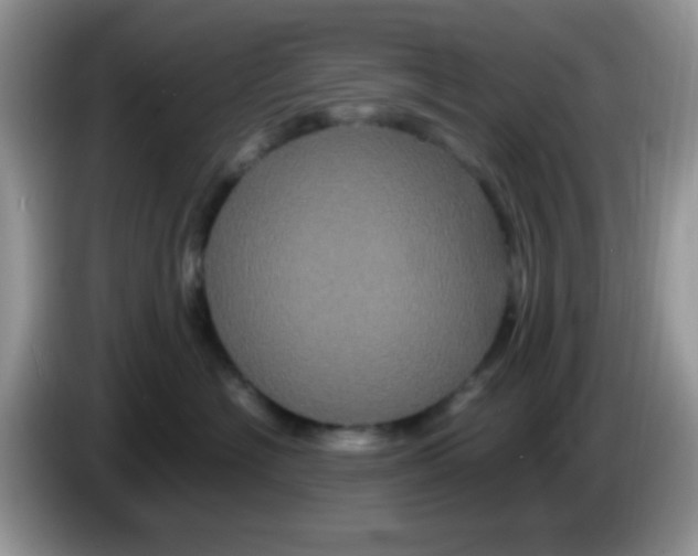 X0000086260574200704261958
