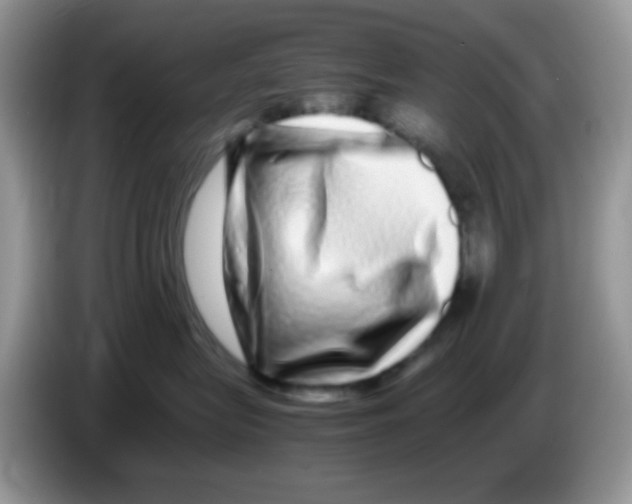 X0000086260575200704261958