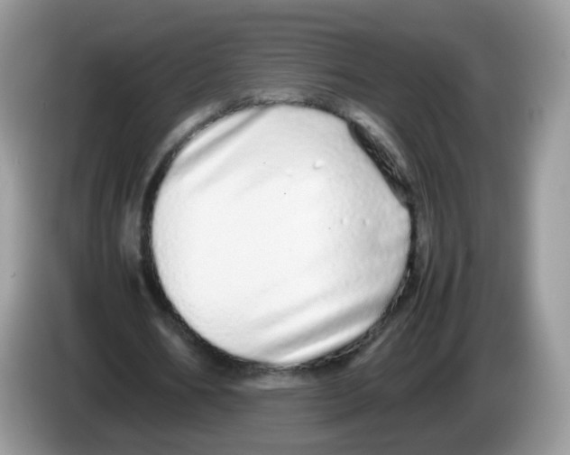 X0000086260578200704261957
