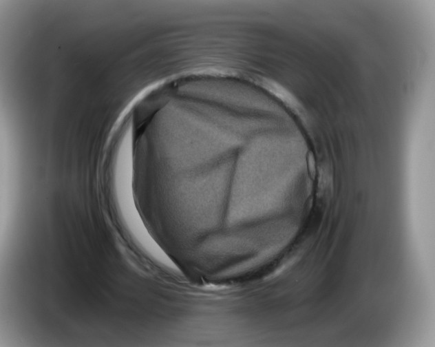 X0000086260580200704261957