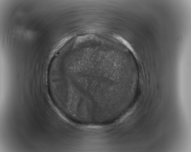 X0000086260581200704261957