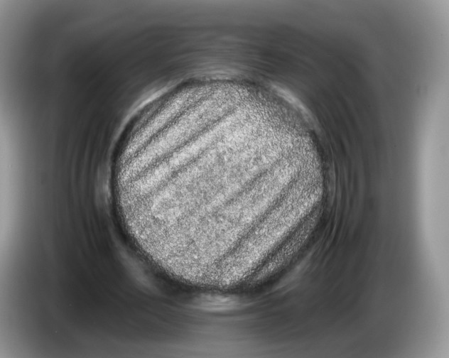 X0000086260582200704261957