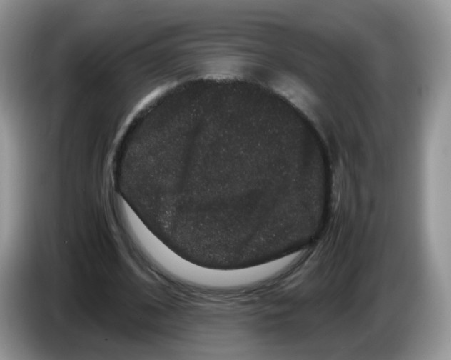 X0000086260584200704261957