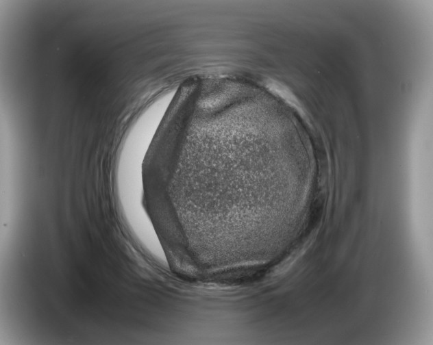 X0000086260585200704261957