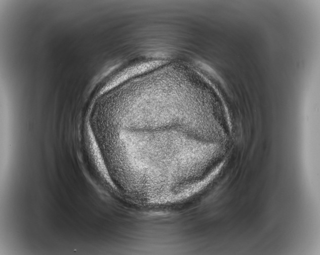 X0000086260586200704261957