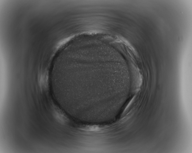 X0000086260588200704261957