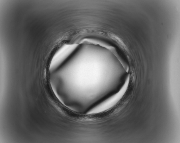 X0000086260589200704261957