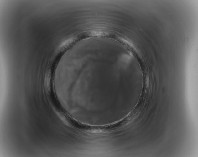 X0000086260590200704261957
