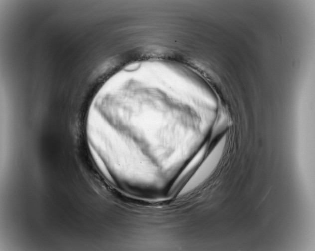 X0000086260591200704261957