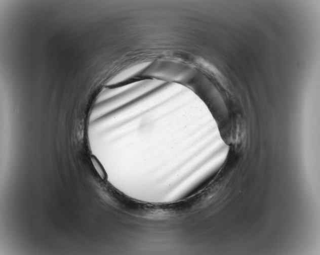 X0000086260593200704261957