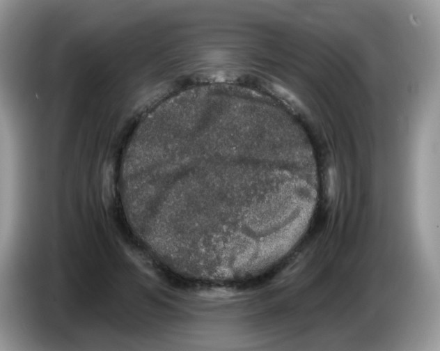 X0000086260594200704261957