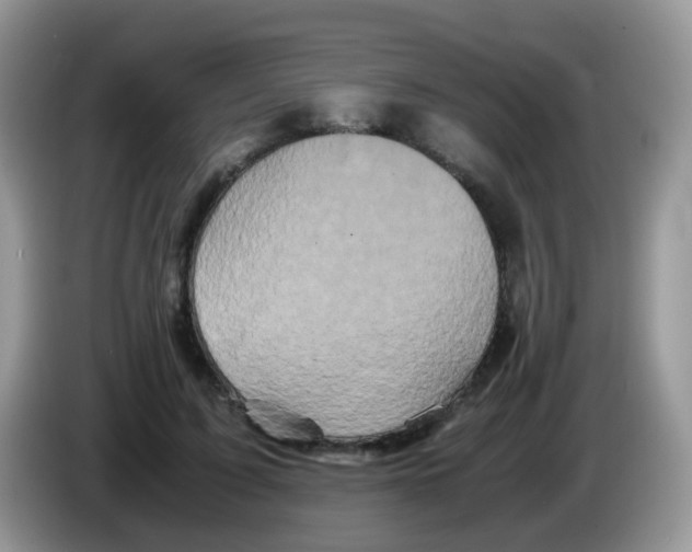 X0000086260595200704261957